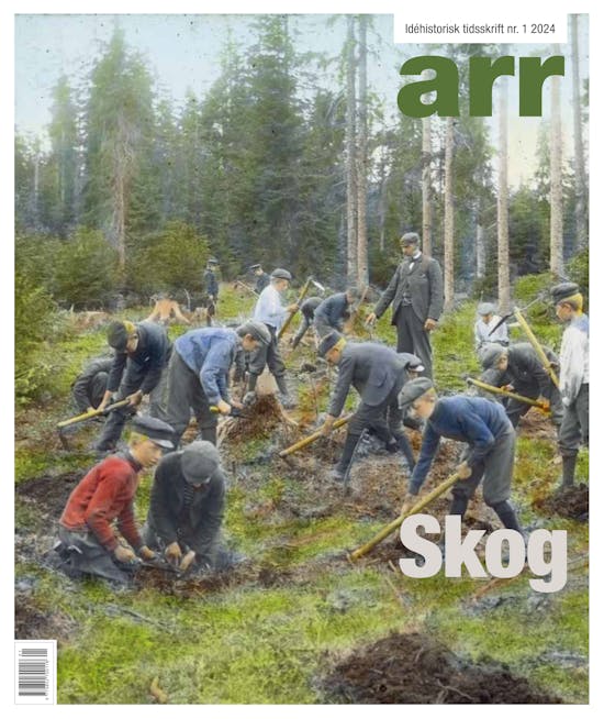 Skog