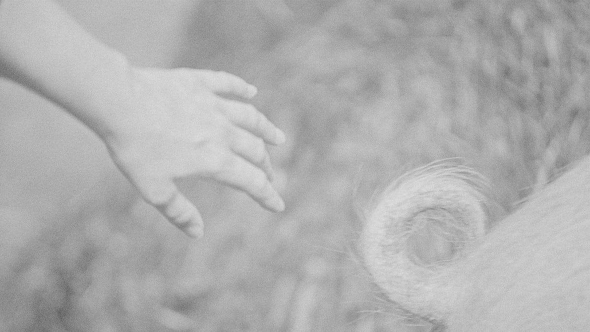 Foto: Iselin Linstad Hauge Krøll på halen