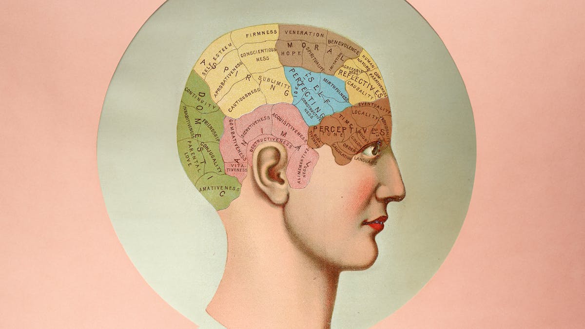 Tredimensjonalt anatomisk diagram av et menneskelig hode. Fra The Book of Health (1898). Illustrasjon: Basert på faksimile fra Wikimedia commons Arr søker bidrag om oppmerksomhet
